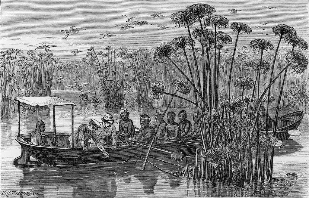 Detail of At the Mouth of the Rusizi by Henry Morton Stanley