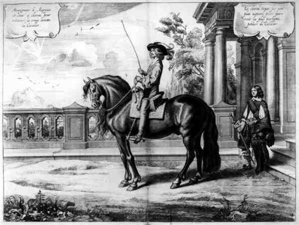 Detail of Illustration from a Riding Manual by Abraham Jansz. van Diepenbeeck