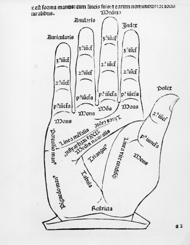 Detail of Palmistry by English School