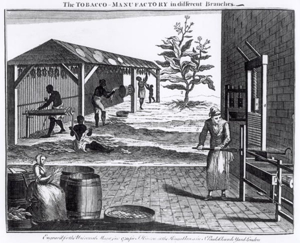 Detail of The Tobacco Manufactory in Different Branches, engraved for the Universal Magazine, 1750 by English School