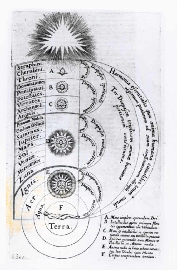 Detail of The Essential Harmony from which any Human Spirit is Made Up, 1619 by English School