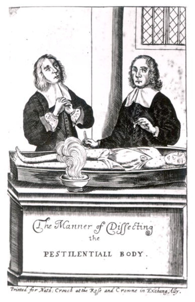 Detail of The Manner of Dissecting the Pestilential Body by English School