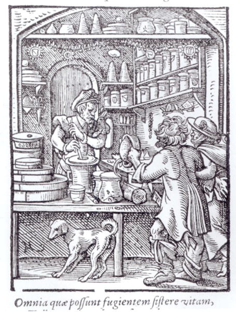 Detail of The Apothecary. by German School