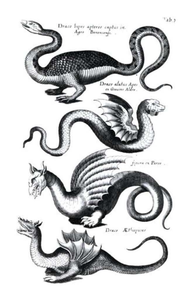 Detail of Four types of dragon by English School