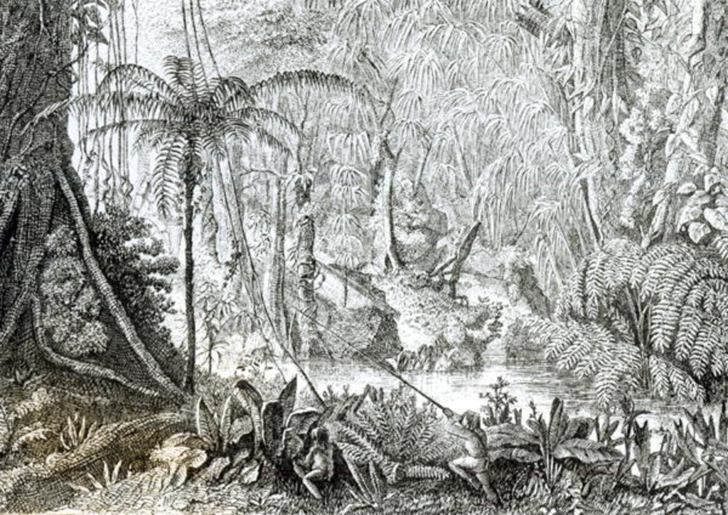 Detail of Interior of a Primeval Forest in the Amazons by English School