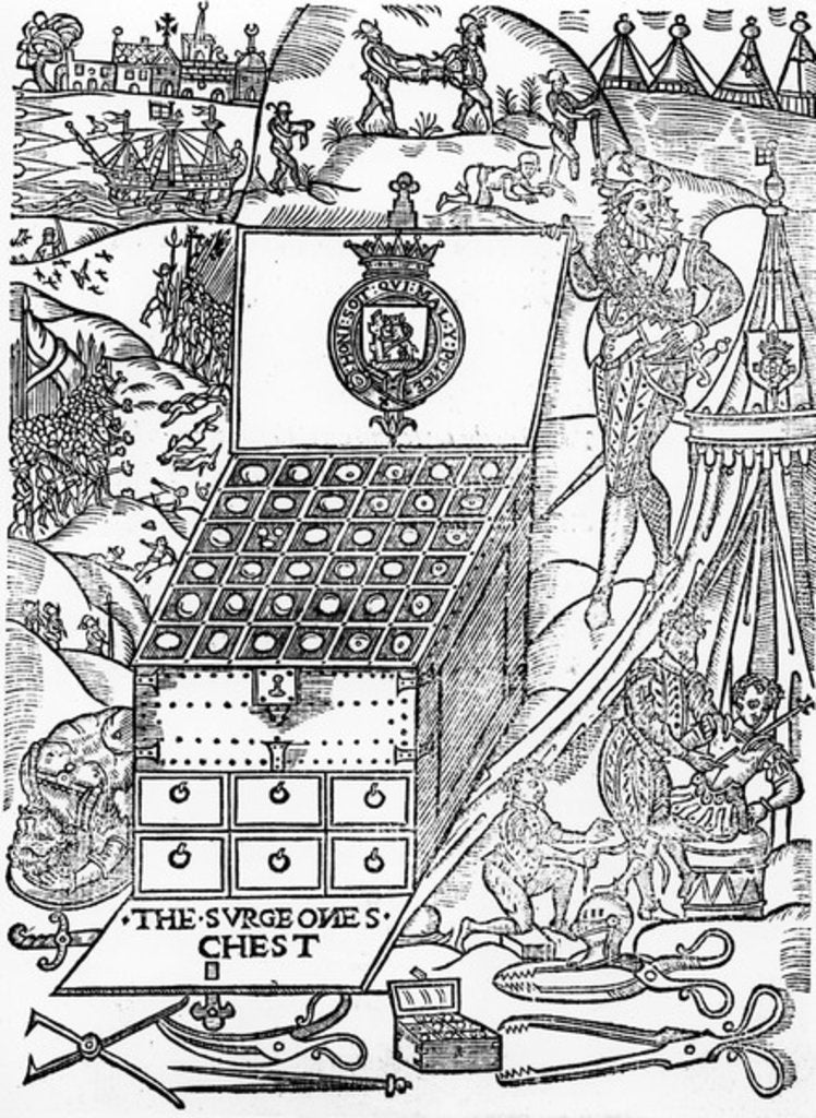 Detail of The Surgeon's Chest by English School