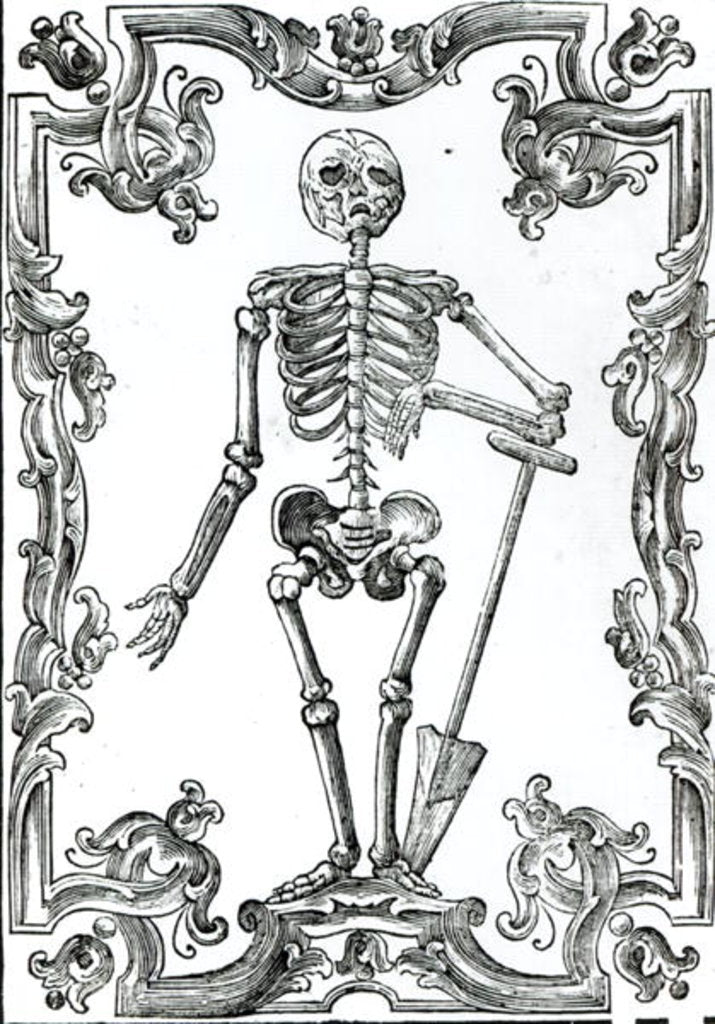 Detail of Skeleton with a Shovel by German School