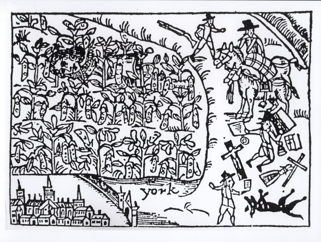 Detail of Prince Rupert Hiding in a Bean Field at the Battle of Marston Moor on 2nd July 1644 by English School