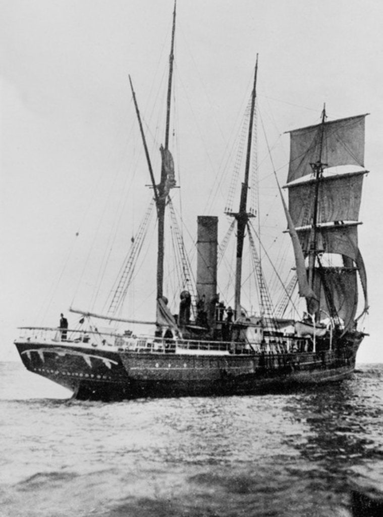 Detail of The Aurora crossing the Equator, August 1911 by Anonymous