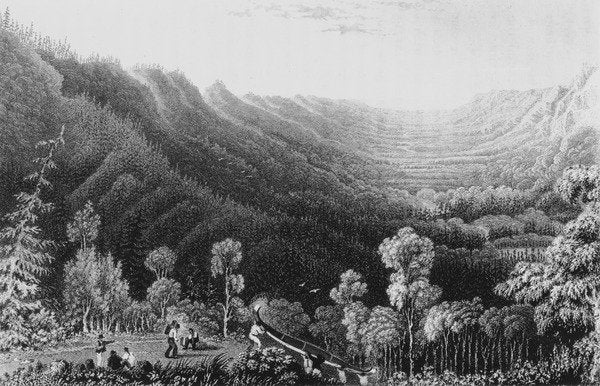 Detail of Vale of the Clearwater River from the Methye Portage, 1828 by George (after) Back