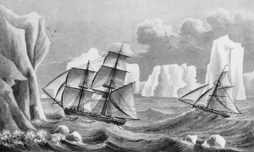 Detail of The brig 'Jane' and cutter 'Beaufoy', 1825 by Weddell Weddell