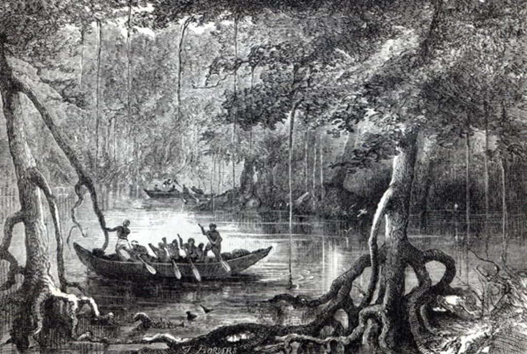 Detail of Mangrove Forest', frontispiece illustration from 'Twenty Nine Years in the West Indies and Central Africa' by H.M. Waddell. by English School