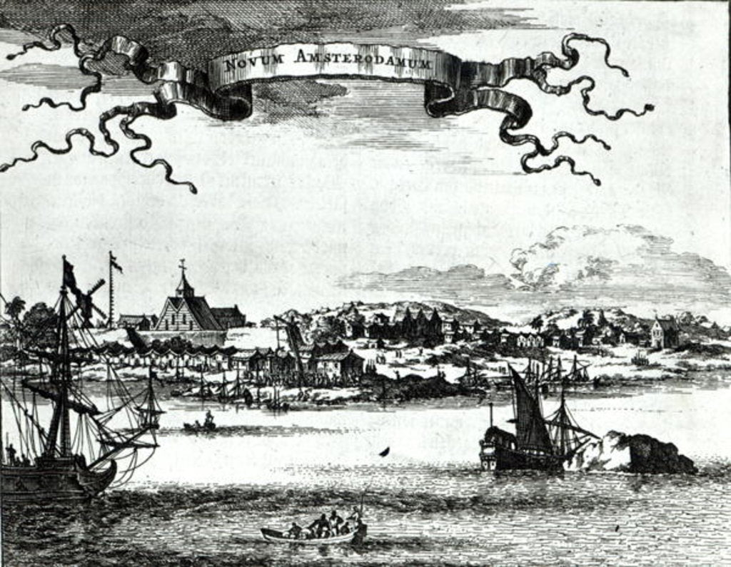 Detail of Novum Amsterodamum, c.1667 by German School