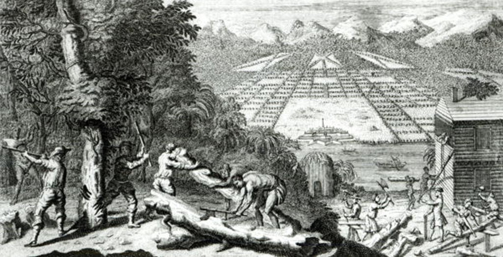 Detail of Illustration from 'The Reasons for establishing the Colony of Georgia' by Benjamin Martyn, 1733 by John Pine