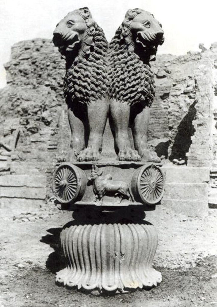 Detail of Lion capital from the Pillar of Emperor Ashoka, 273-236 BC by Indian school