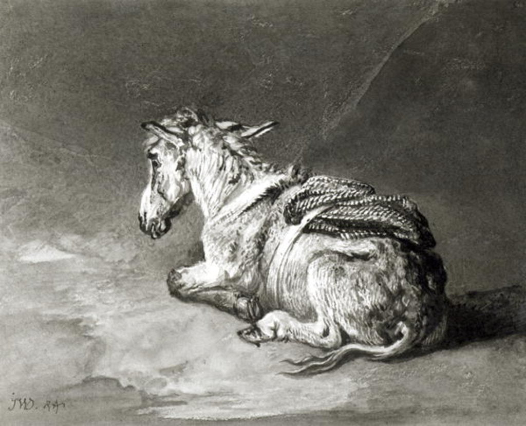 Detail of Donkey at Rest by James Ward