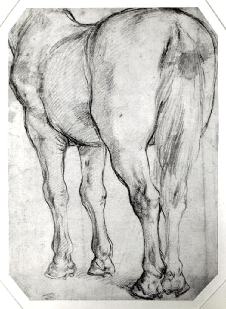 Detail of Horse's Rear by Peter Paul Rubens