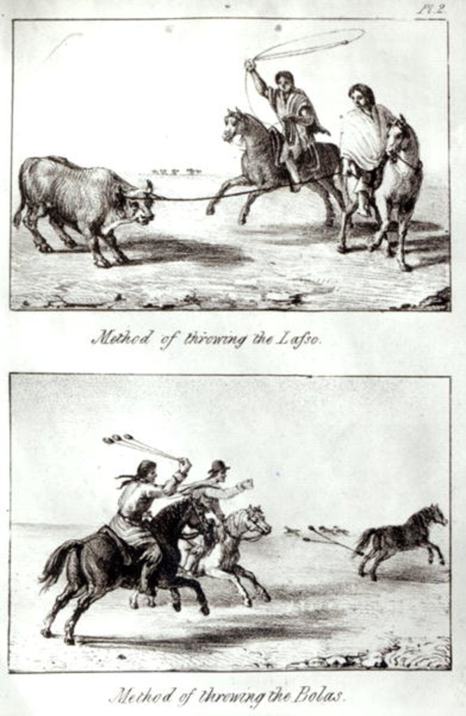 Detail of Methods of Throwing the Lasso and the Bolas by John Miers