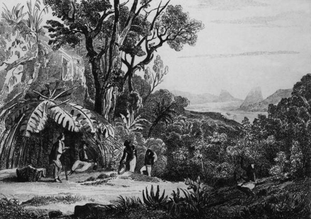 Detail of Collecting Coffee by French School