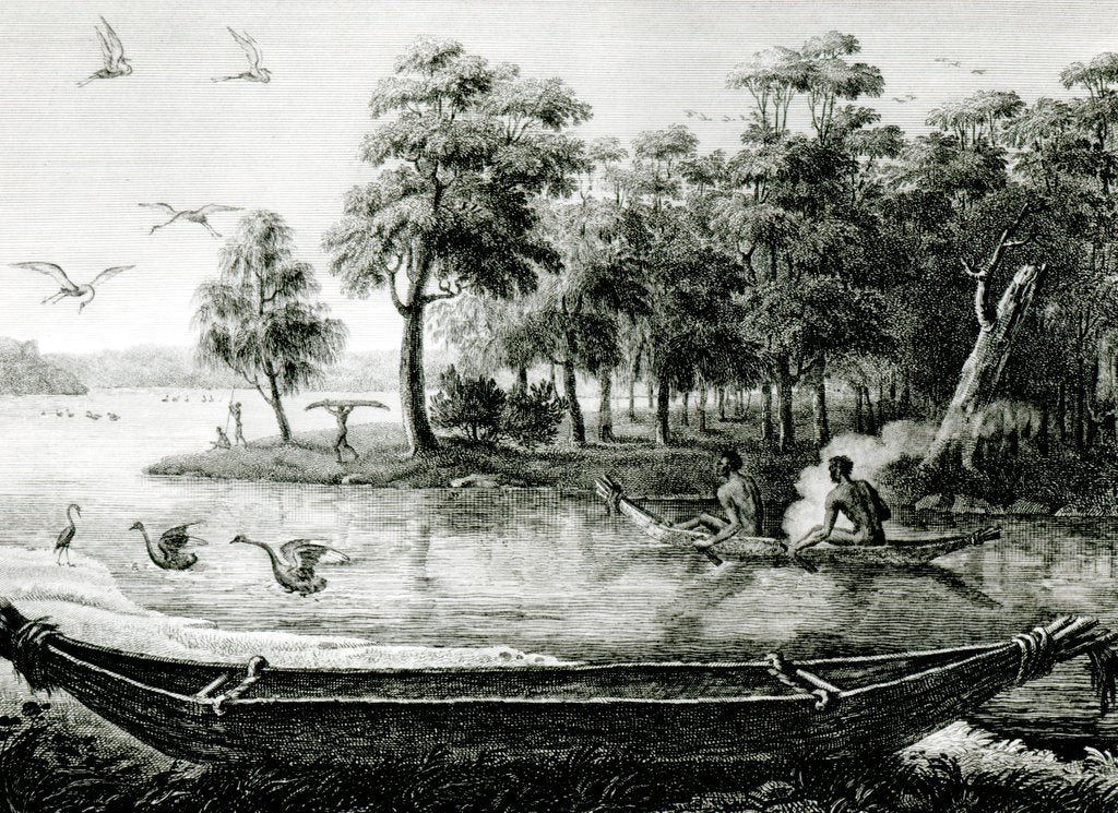 Detail of New Holland: New South Wales by Charles Alexandre Lesueur