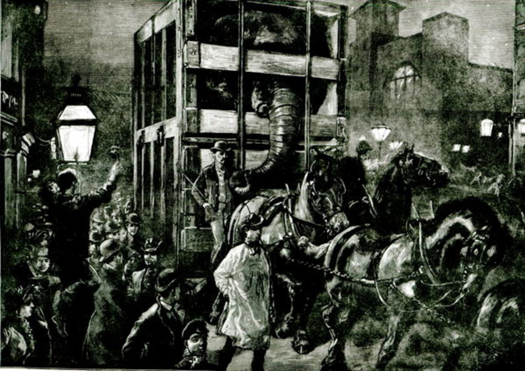 Detail of Jumbo's Journey to the Docks by School English