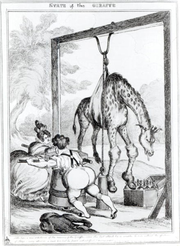 Detail of State of the Giraffe, 1829 by William Heath