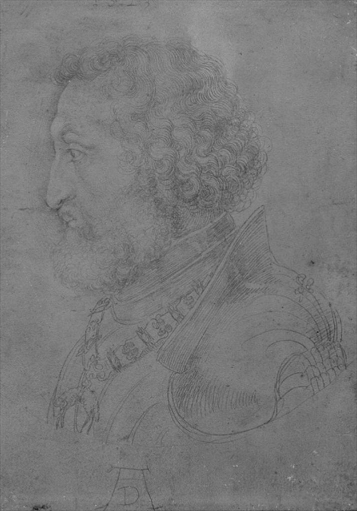 Detail of Frederick II of the Rhine, Elector Palatine, 1523 by Albrecht Dürer or Duerer