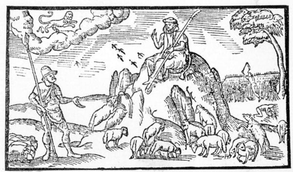 Detail of Month of July by School English