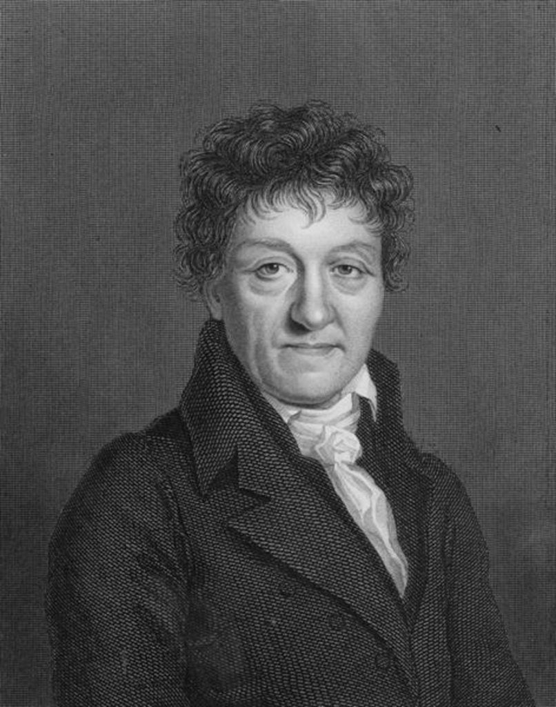 Detail of Portrait of Lazare Nicolas Marguerite Carnot by School English