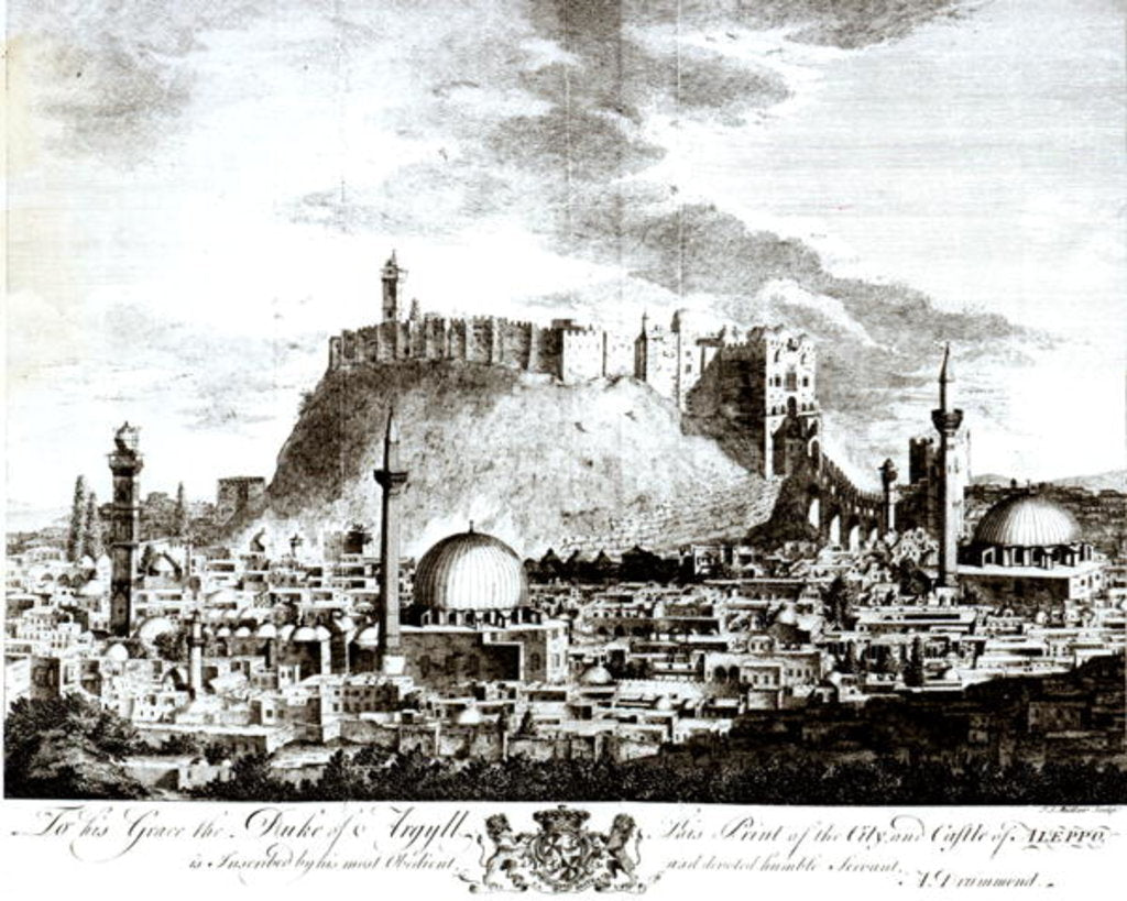 Detail of A view of the city and castle of Aleppo, Syria, 1754 by Alexander Drummond