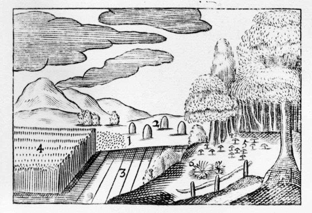 Detail of Fruits of the Earth, 1658 by John Amos Comenius