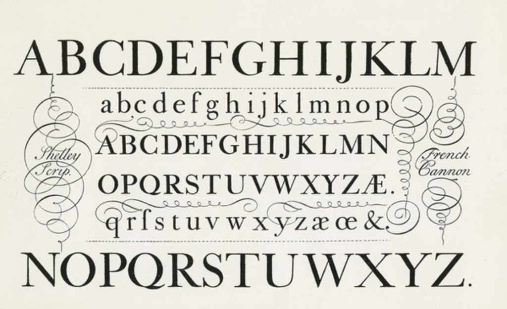 Detail of Specimen typefaces by Anonymous