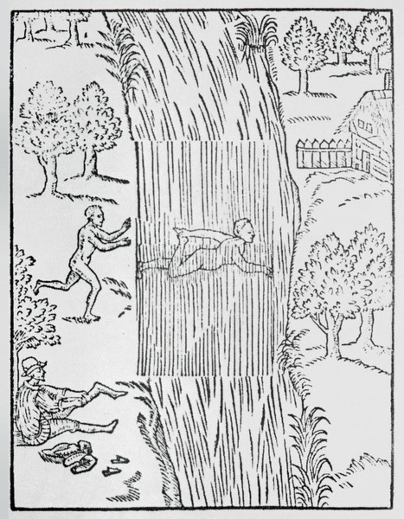 Detail of The art of swimming, 1587 by English School