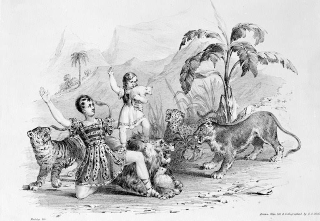 Detail of Isaac Van Amburgh taming a lion, 1838-9 by G. E. Madeley