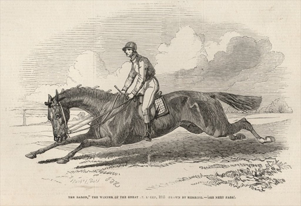 Detail of The Baron, the winner of the Great St. Leger by John Frederick Herring Snr