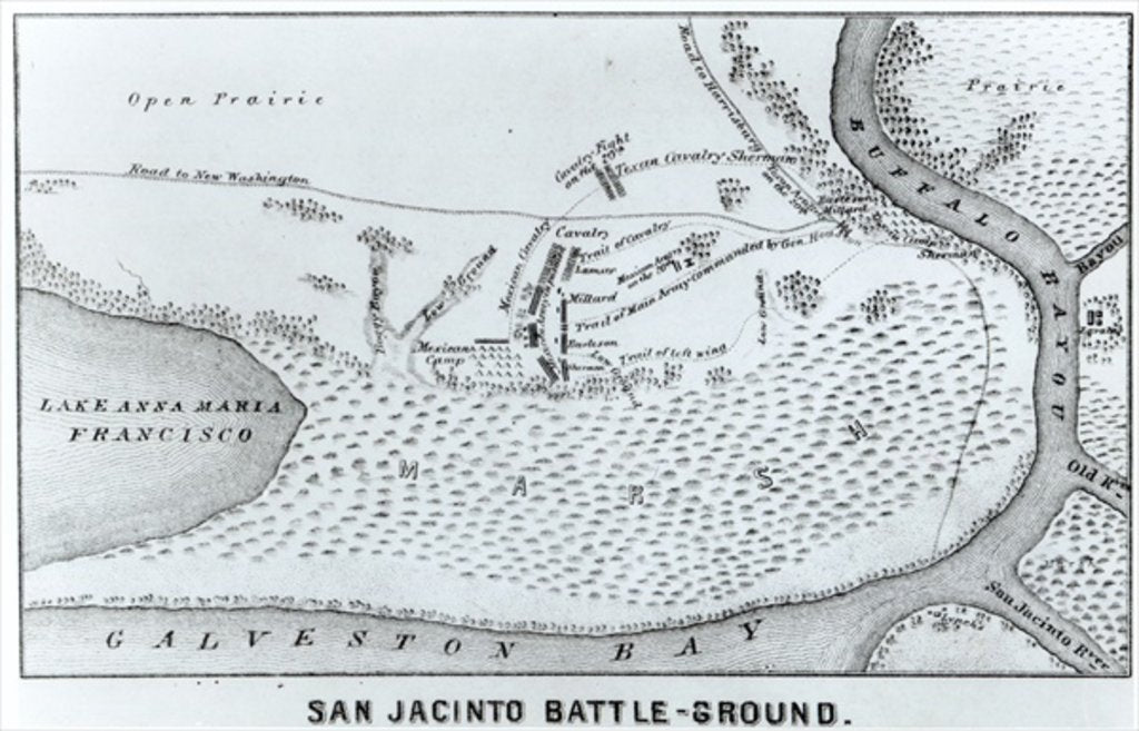 Detail of Ground Plan of the Battle of San Jacinto by American School