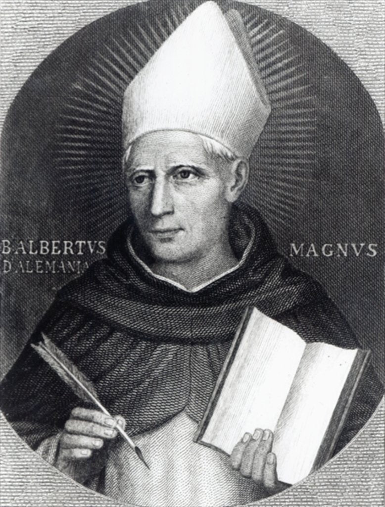 Detail of St Albertus Magnus, 1851 by English School