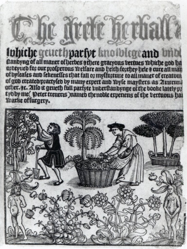 Detail of Medieval Herb Garden by English School