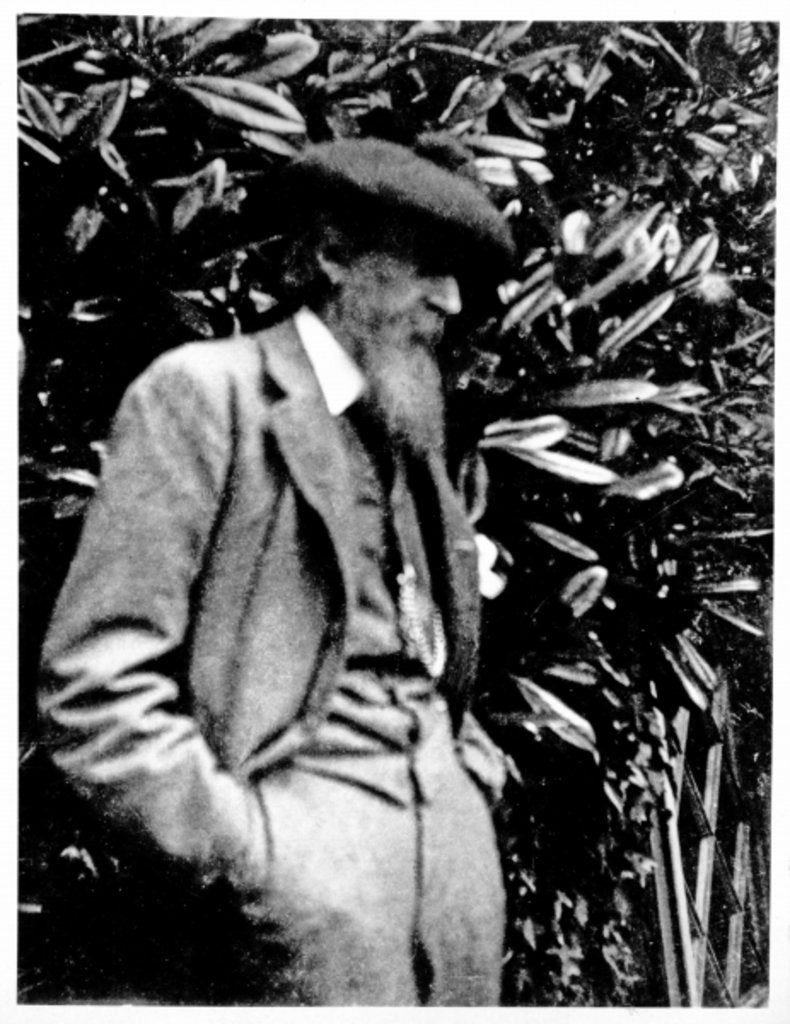 Detail of Leslie Stephen, 1900 by English Photographer