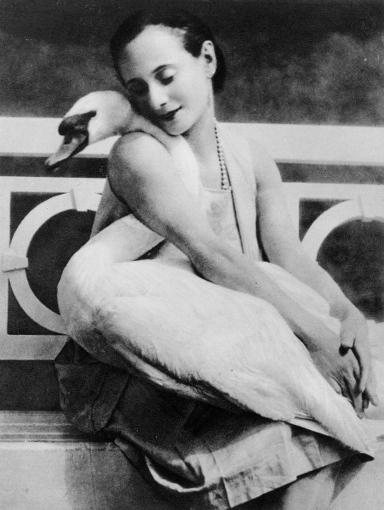 Detail of Anna Pavlova with her pet swan Jack, c.1905 by English Photographer