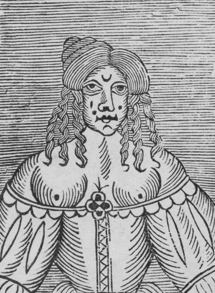 Detail of A Tudor Lady with bared breasts by English School