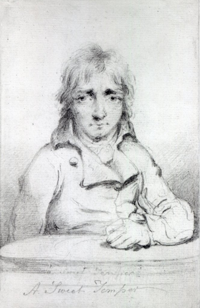 Detail of Joseph Mallord William Turner by Charles Turner
