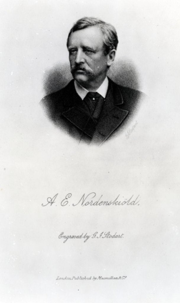 Detail of Adolf Erik Nordenskiold, 1880 by George J. Stodart