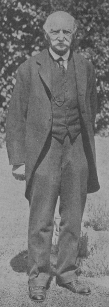 Detail of Thomas Hardy by English Photographer