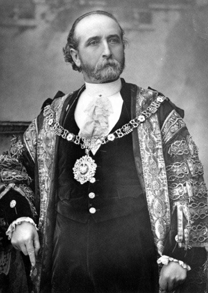Detail of Sir James Whitehead, Lord Mayor of London, c.1888-9 by English Photographer