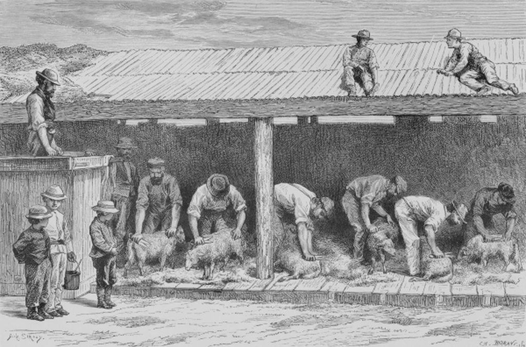 Detail of Sheep Shearing, c.1880 by English School