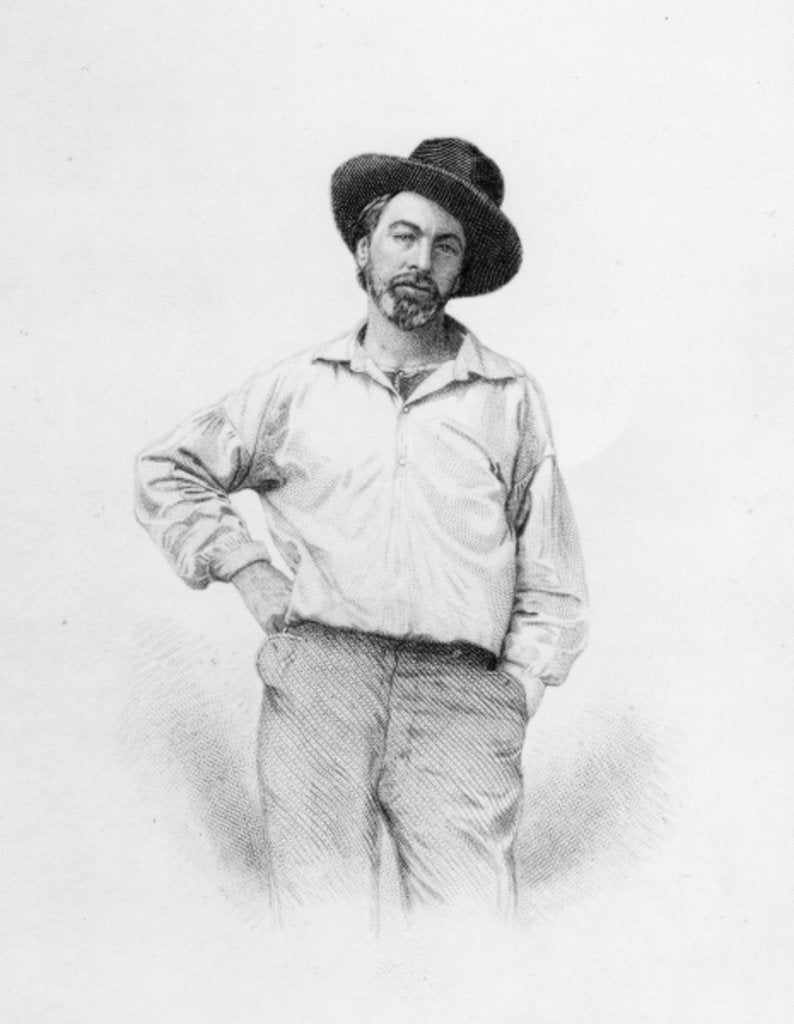 Detail of Walt Whitman by American School