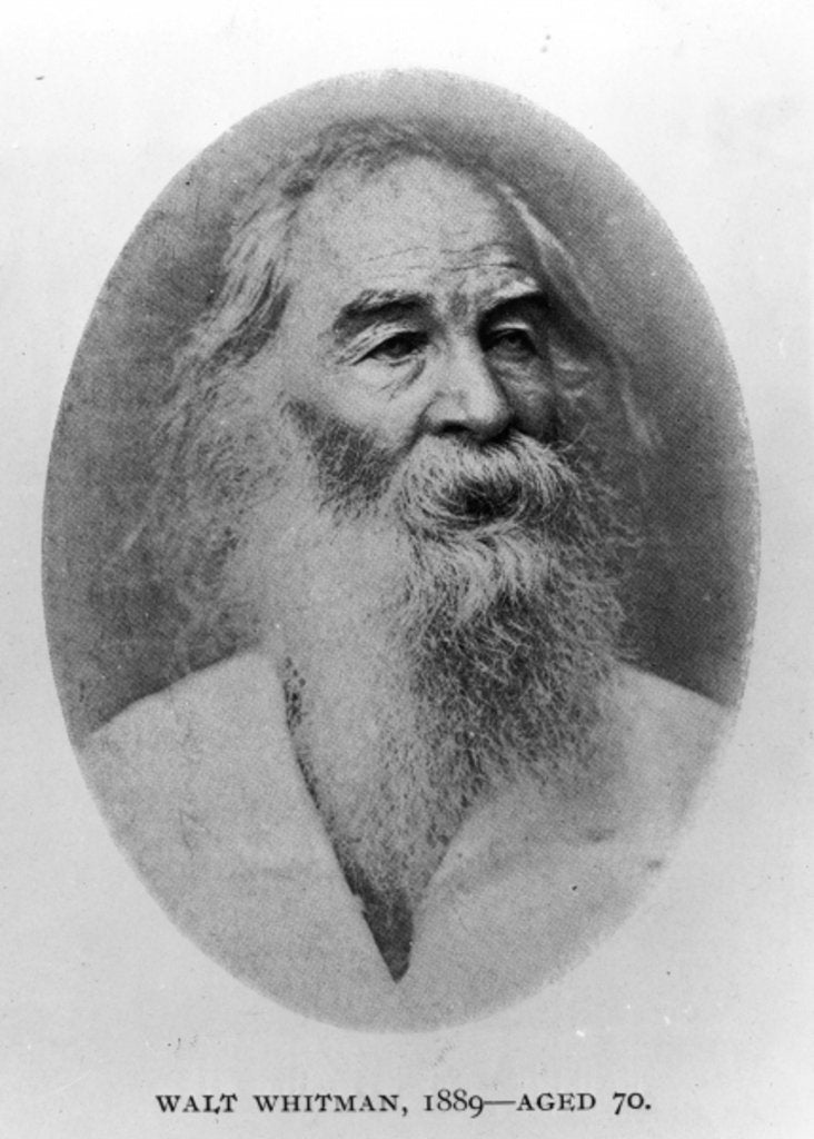 Detail of Walt Whitman, photographed in 1889 by American Photographer