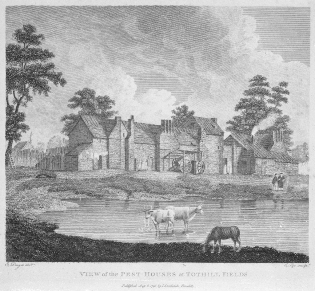 Detail of View of the Pest-Houses at Tothill Fields engraved by Charles Pye, 1796 by Edward Dayes (after)