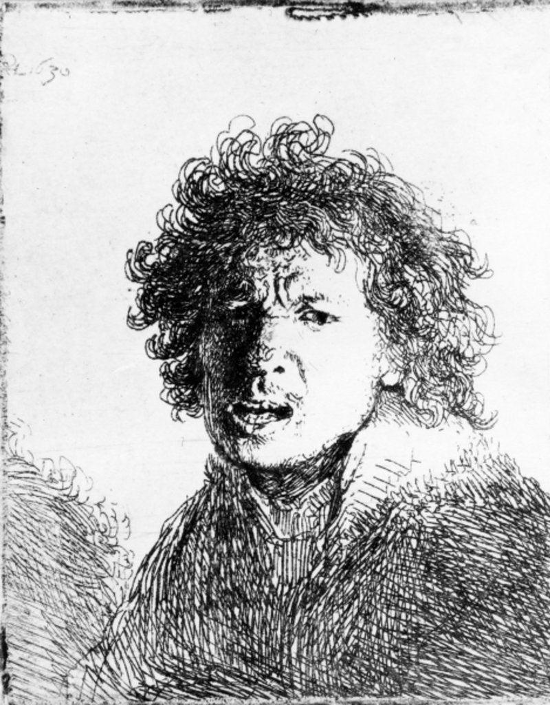 Detail of Self Portrait, 1630 by Rembrandt Harmensz. van Rijn
